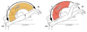 筋肉による肩の内旋の可動域の低下
