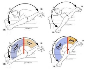 肩の外旋の可動域の適応