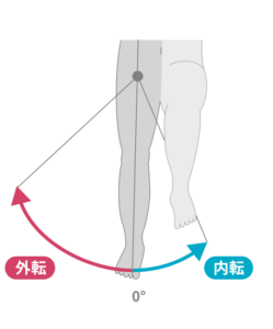 股関節の内転外転の可動域